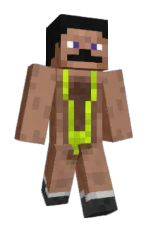 NLDW Minecraft avatar full body