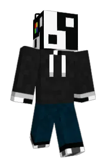 NL_208 Minecraft avatar full body