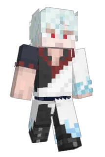 NMMTBS Minecraft avatar full body