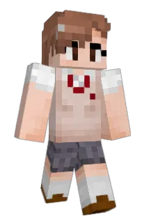 NMq780 Minecraft avatar full body