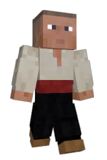 NN197 Minecraft avatar full body
