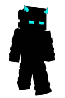 NN4SB Minecraft avatar full body