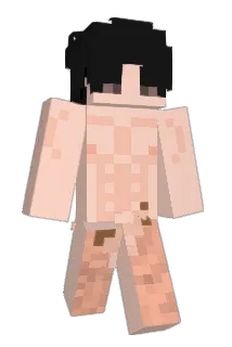 NNNNNL Minecraft avatar full body