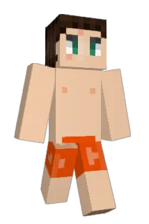 NN_dd Minecraft avatar full body