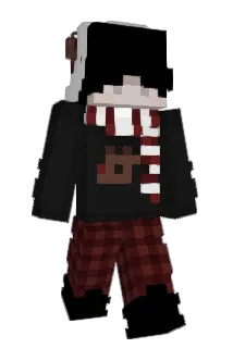 NOIS1__ Minecraft avatar full body