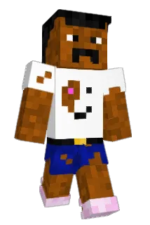 NORDINPOJKEN Minecraft avatar full body