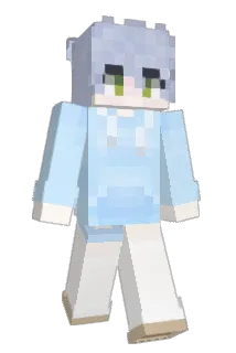 NPC110 Minecraft avatar full body