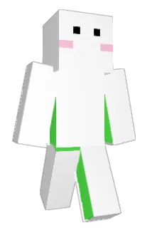 NPC420 Minecraft avatar full body