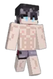 NPCharacter Minecraft avatar full body