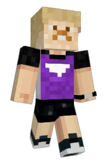NPLFN Minecraft avatar full body