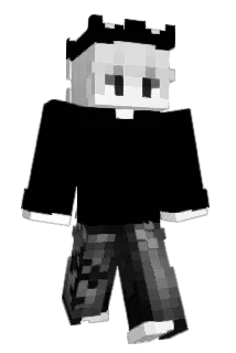 NRFDzz Minecraft avatar full body