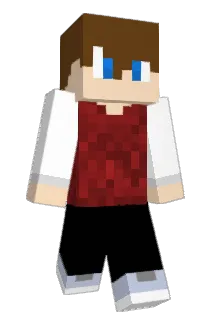 NRwall Minecraft avatar full body