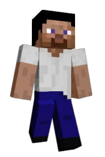 NSHidden Minecraft avatar full body