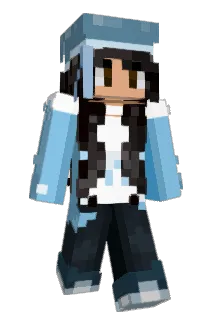 NSSHADOW Minecraft avatar full body