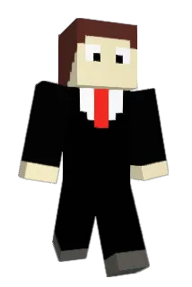 NSTRW Minecraft avatar full body