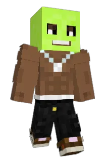 NS_0206 Minecraft avatar full body
