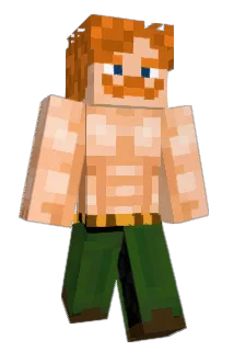 NT213 Minecraft avatar full body