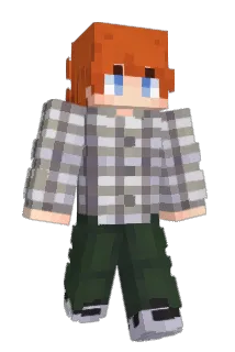 NTSwizzle Minecraft avatar full body