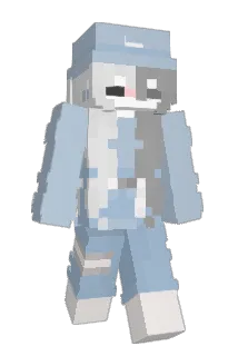 NTTPN Minecraft avatar full body