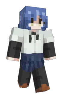 NTXStealthForce Minecraft avatar full body