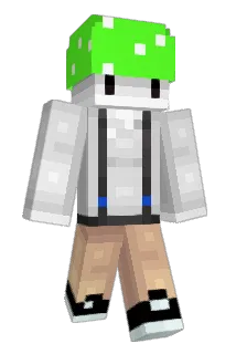 NVQ Minecraft avatar full body