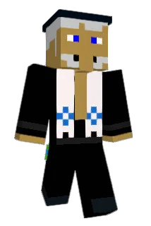 NWBA Minecraft avatar full body