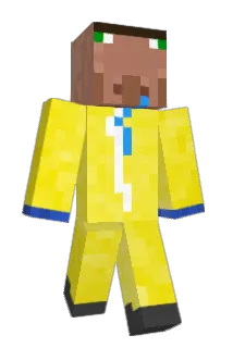 NWM_1129 Minecraft avatar full body
