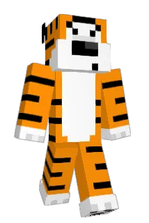 NXWAA Minecraft avatar full body