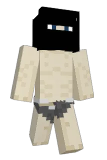 NYC_Puck Minecraft avatar full body