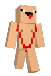 NYsigh Minecraft avatar full body