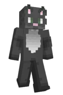 NZT24 Minecraft avatar full body