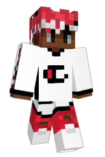 N_qoii Minecraft avatar full body