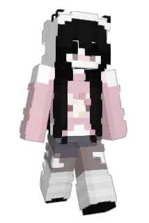 NaBii06 Minecraft avatar full body