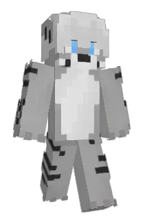 NaLiNano Minecraft avatar full body