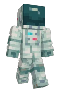 NaNaks Minecraft avatar full body