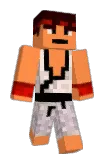 NaPalM237 Minecraft avatar full body