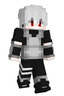 NaSHVF Minecraft avatar full body