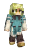 Naa_1 Minecraft avatar full body