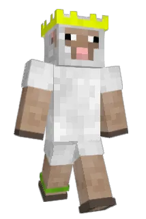 Naadi100 Minecraft avatar full body