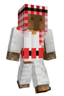 NaanBread4372 Minecraft avatar full body