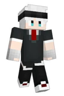 Naar_ Minecraft avatar full body