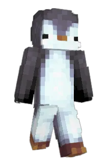 NaawaaF Minecraft avatar full body