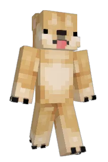 Naax7 Minecraft avatar full body