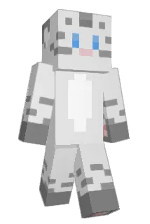 Nachtrae Minecraft avatar full body
