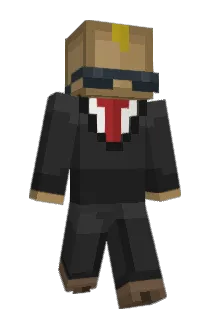 NaiCha___ Minecraft avatar full body