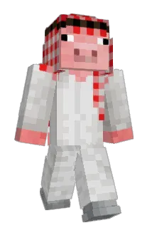 Naicol204 Minecraft avatar full body