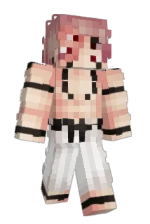 Naiplays Minecraft avatar full body