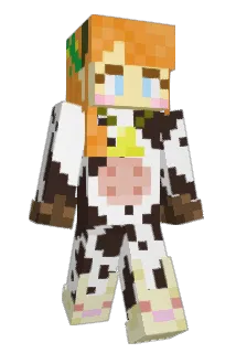 Naitte Minecraft avatar full body