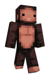 NaiveFrost Minecraft avatar full body