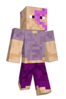 NajBlyambaGang Minecraft avatar full body